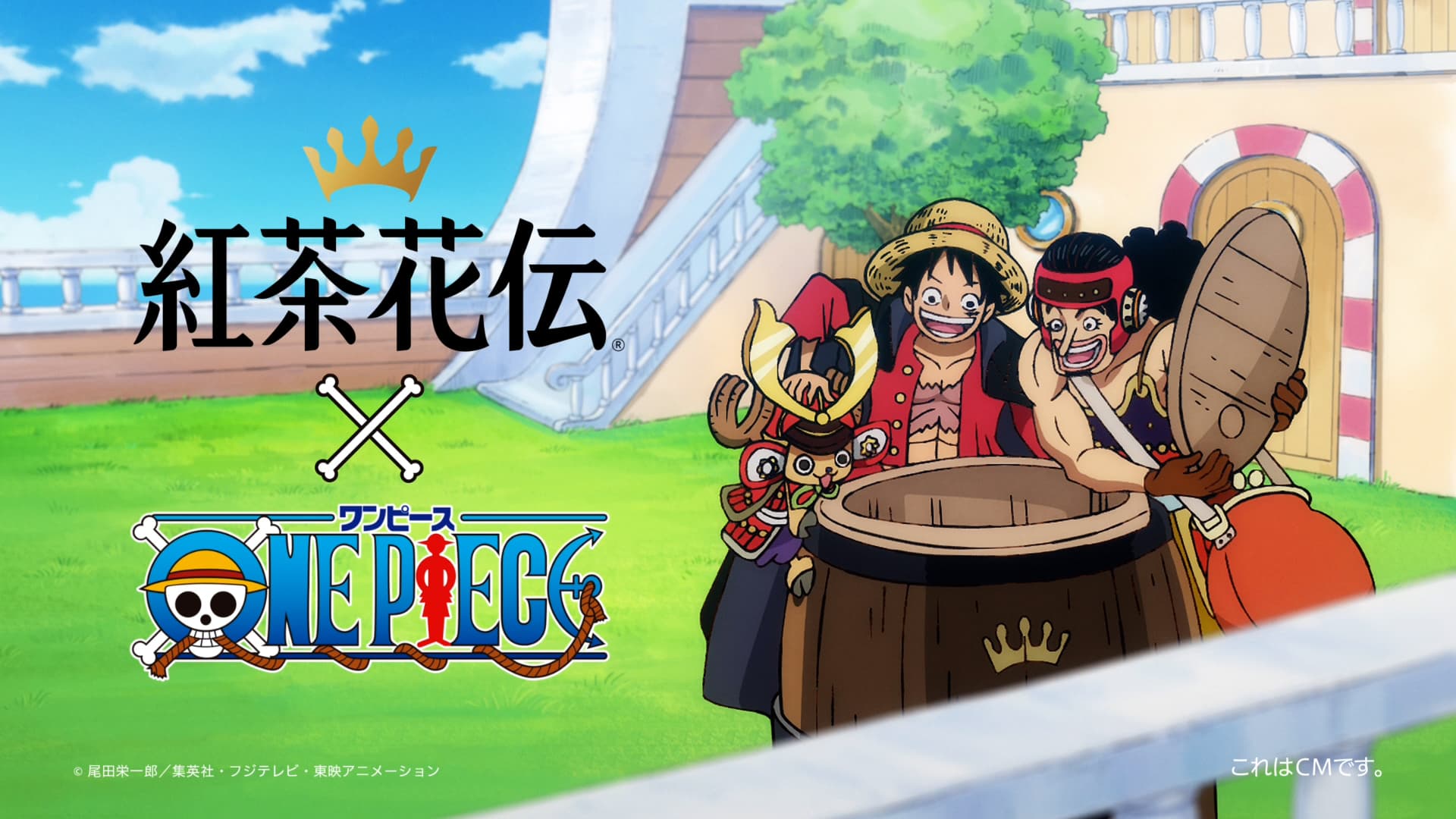 「ONE PIECE×紅茶花伝」全17種の限定コラボボトル登場！大好評のコラボCMも帰ってくる