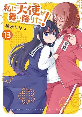 私に天使が舞い降りた!13