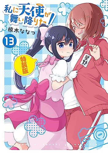 私に天使が舞い降りた!13 特装版