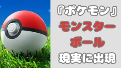 『ポケモン』 モンスターボール そっくりな 木の実の正体は？