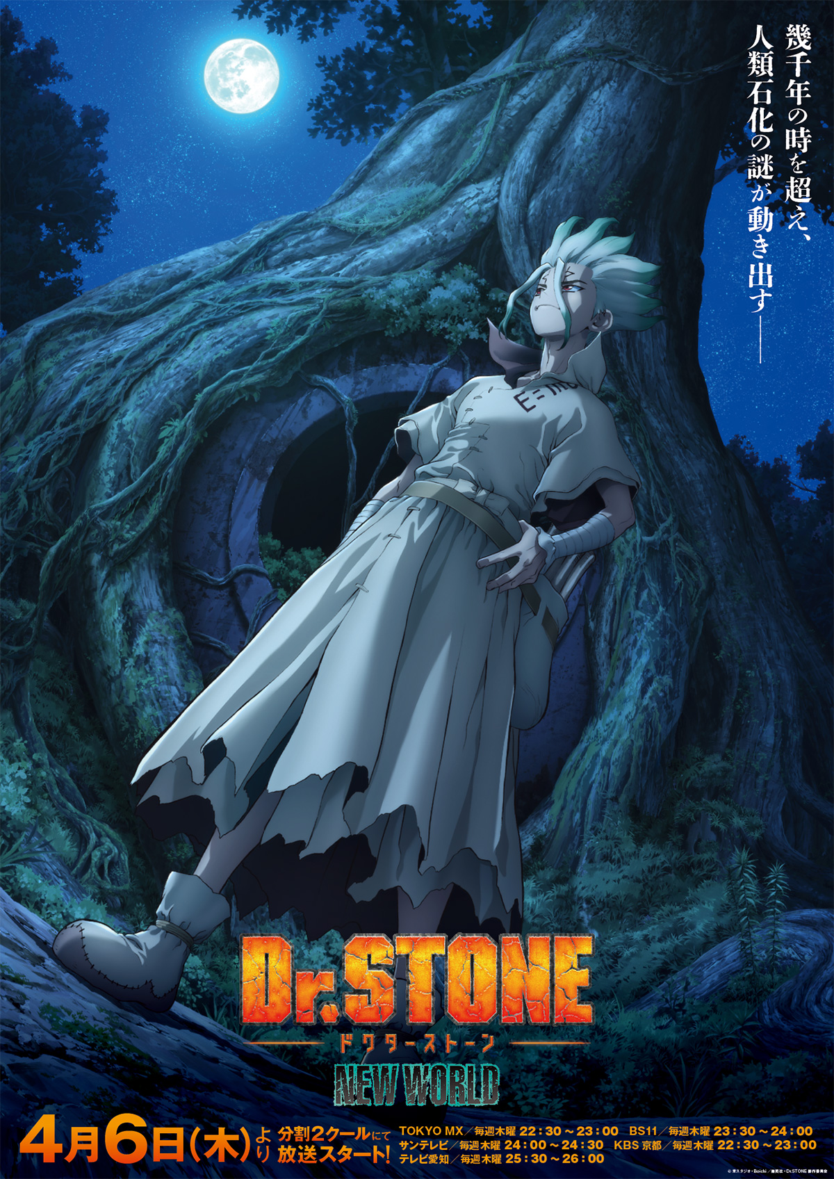 TVアニメ『Dr.STONE』キービジュアル