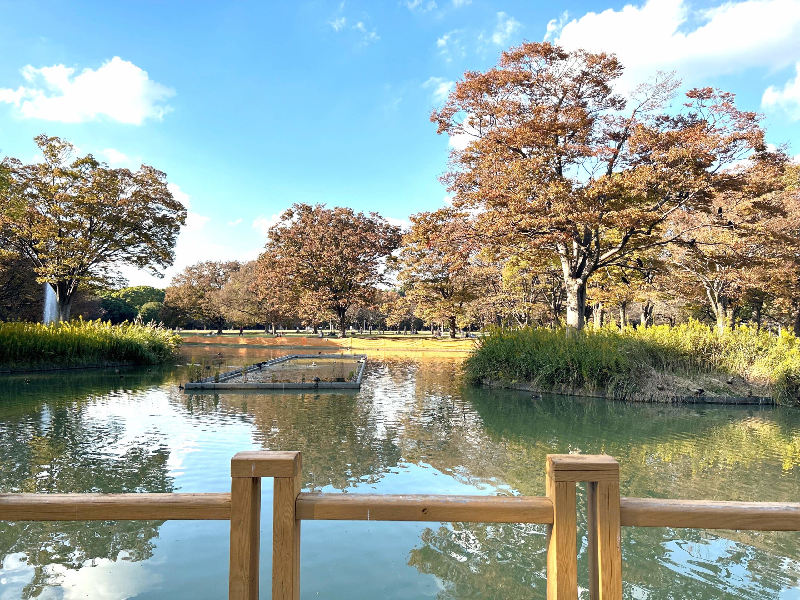 代々木公園