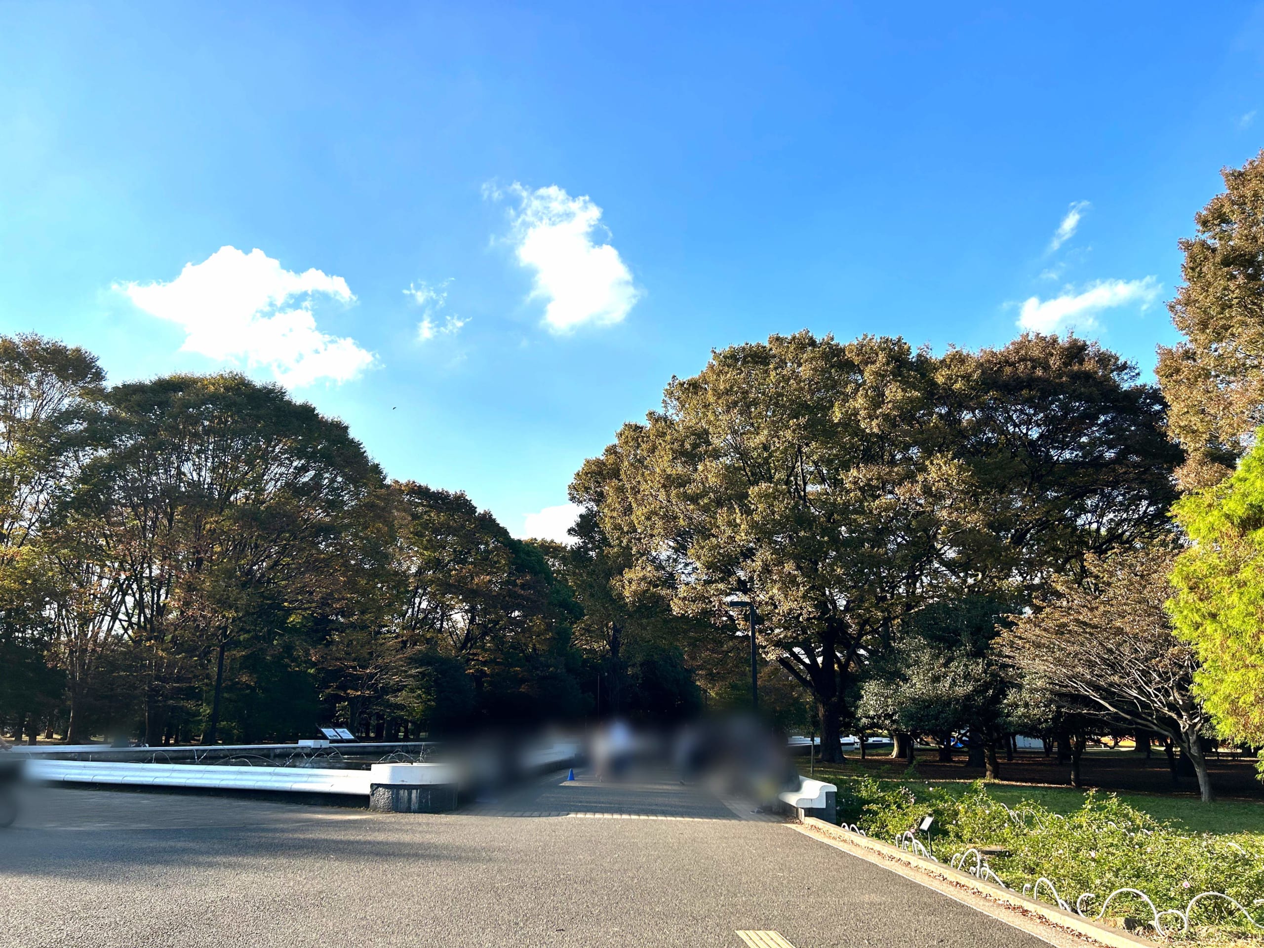 代々木公園