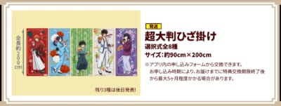 「るろうに剣心×吉野家」40点特典：超大判ひざ掛け（発送）