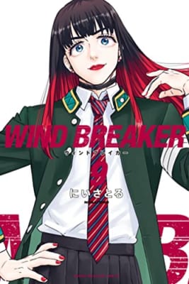 ＷＩＮＤ　ＢＲＥＡＫＥＲ（９） (マガジンポケットコミックス)