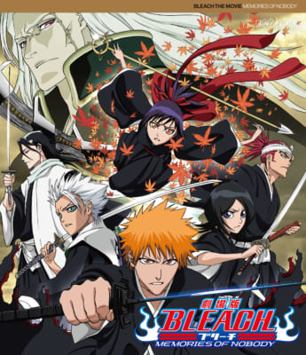 『劇場版 BLEACH MEMORIES OF NOBODY』キービジュアル