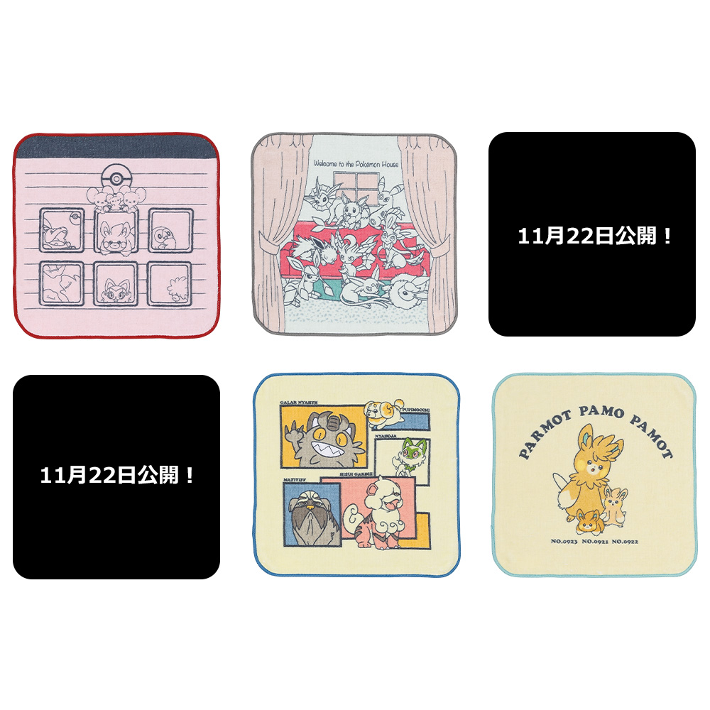 「2024 Pokémon Collection くじ ～Welcome to the Pokémon House～」I賞 ハンドタオル