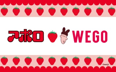 「アポロ×WEGO」