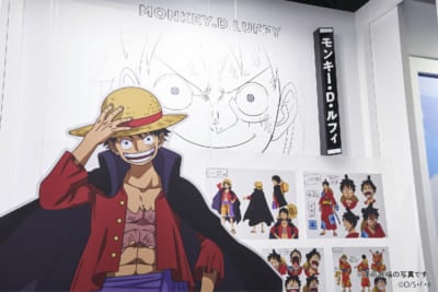 「ONE PIECE EMOTION」in ナガシマスパーランド　設定資料