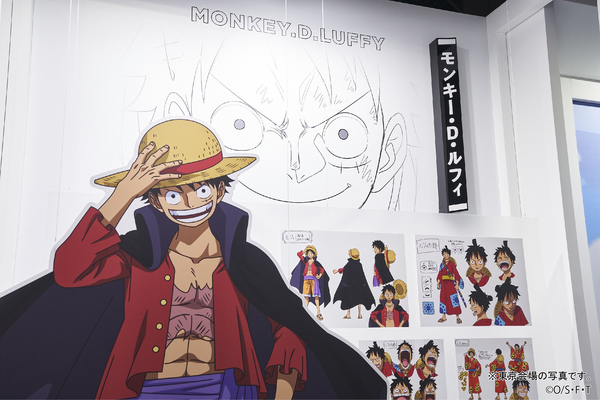 「ONE PIECE EMOTION」in ナガシマスパーランド 設定資料