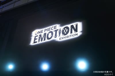 「ONE PIECE EMOTION」in ナガシマスパーランド　EMOTION THEATER