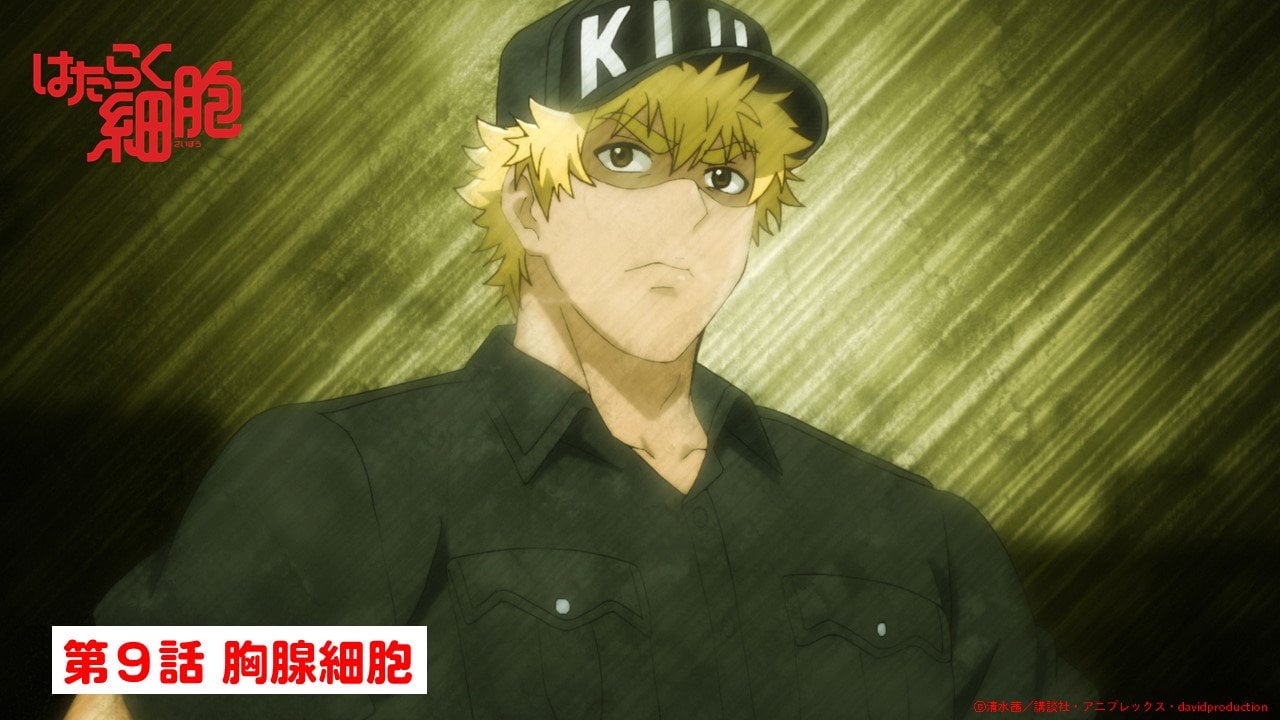 第6位:『はたらく細胞』キラーT細胞→メモリーT細胞