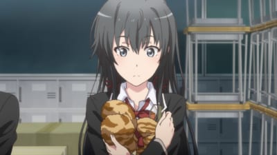 第4位：『やはり俺の青春ラブコメはまちがっている。』雪ノ下雪乃