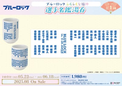 TVアニメ『ブルーロック』選手名鑑湯呑