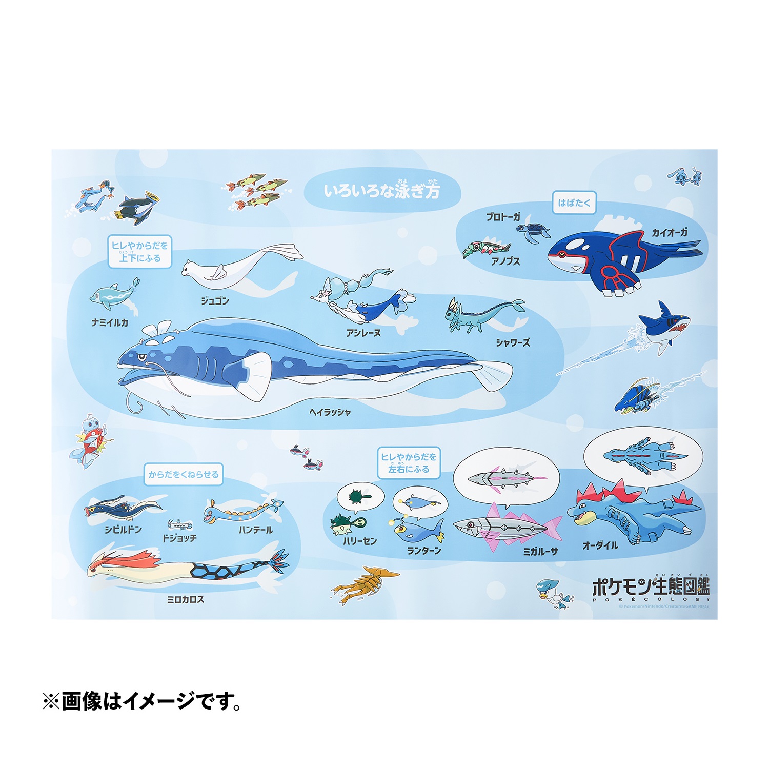 「ポケモン」お風呂ポスター ポケモン生態図鑑
