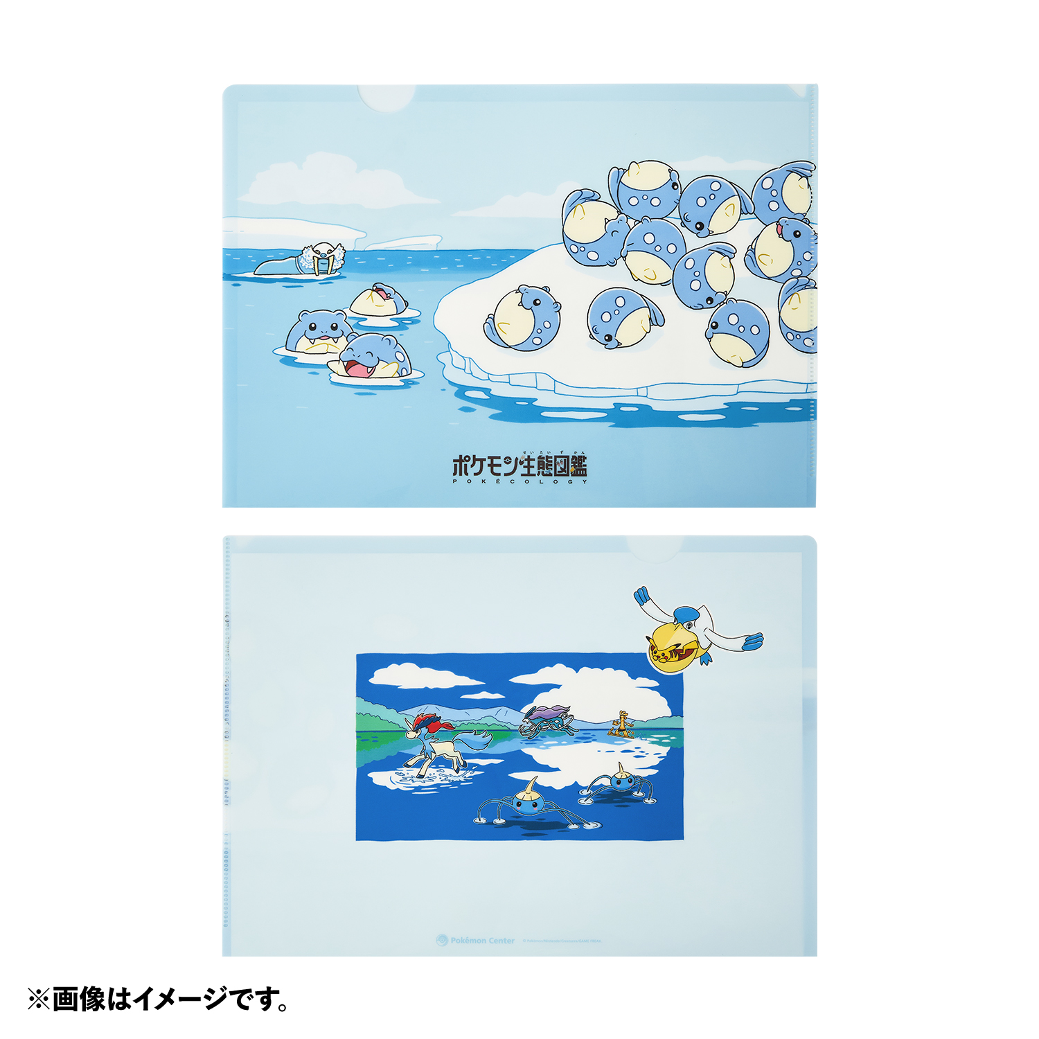 「ポケモン」A4クリアファイル ポケモン生態図鑑 タマザラシ