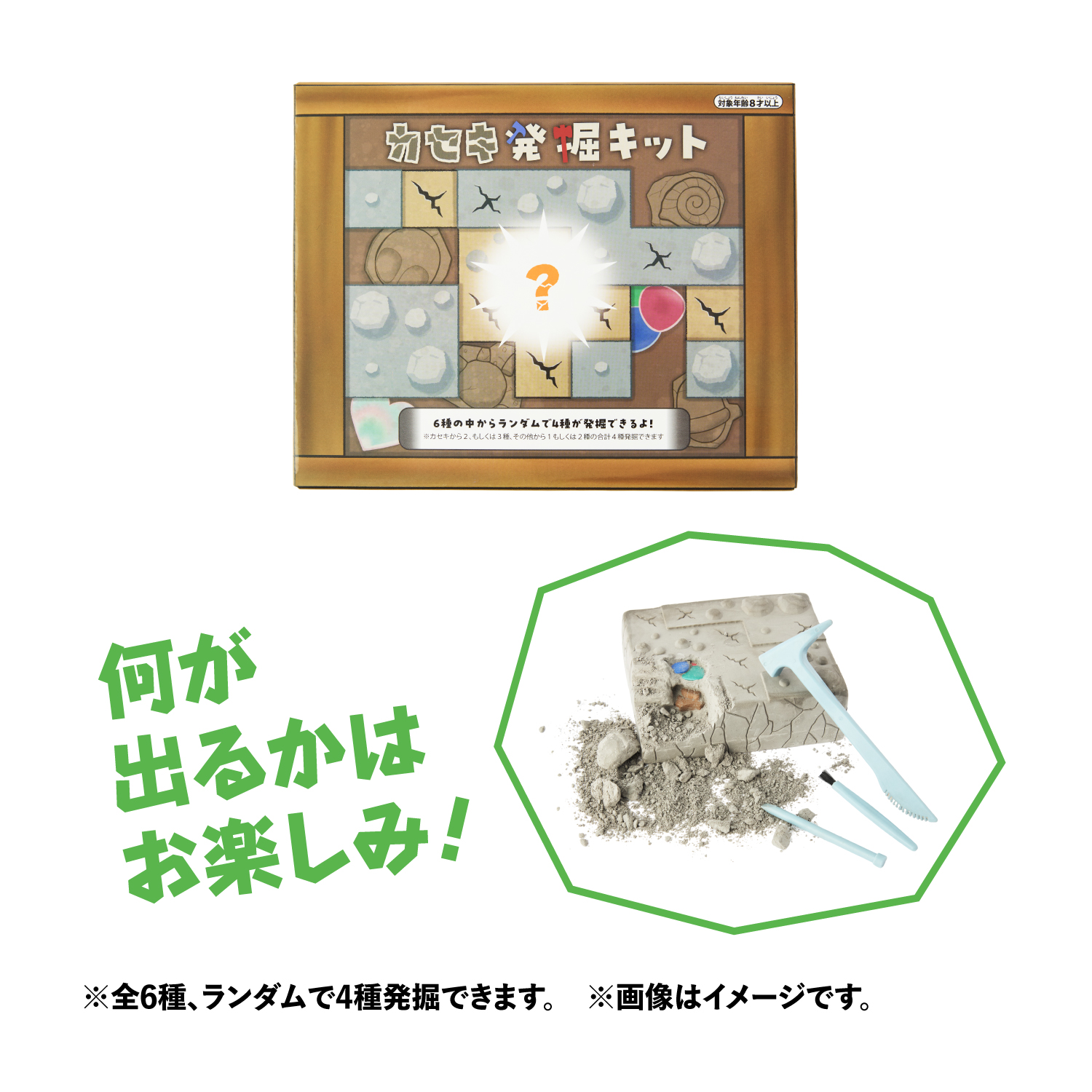 『ポケットモンスター』CAVE DWELLER カセキ発掘キット