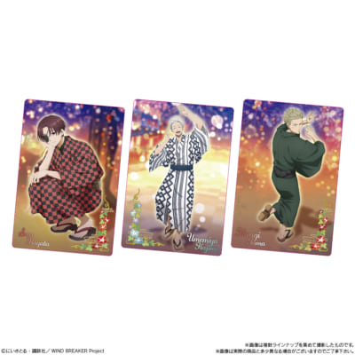 「WIND BREAKER ウエハース2」