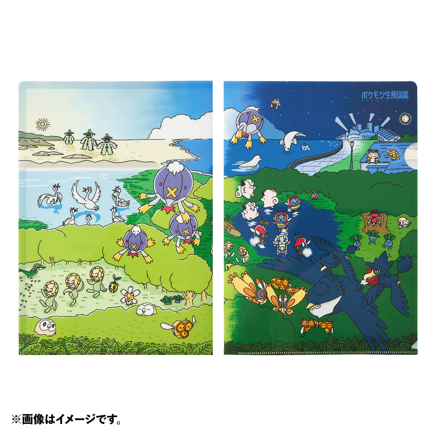 「ポケモン」A4クリアファイル ポケモン生態図鑑 生活リズム