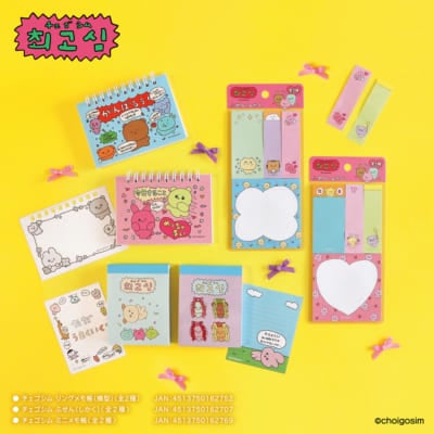 「チェゴシム」100円ショップグッズ
