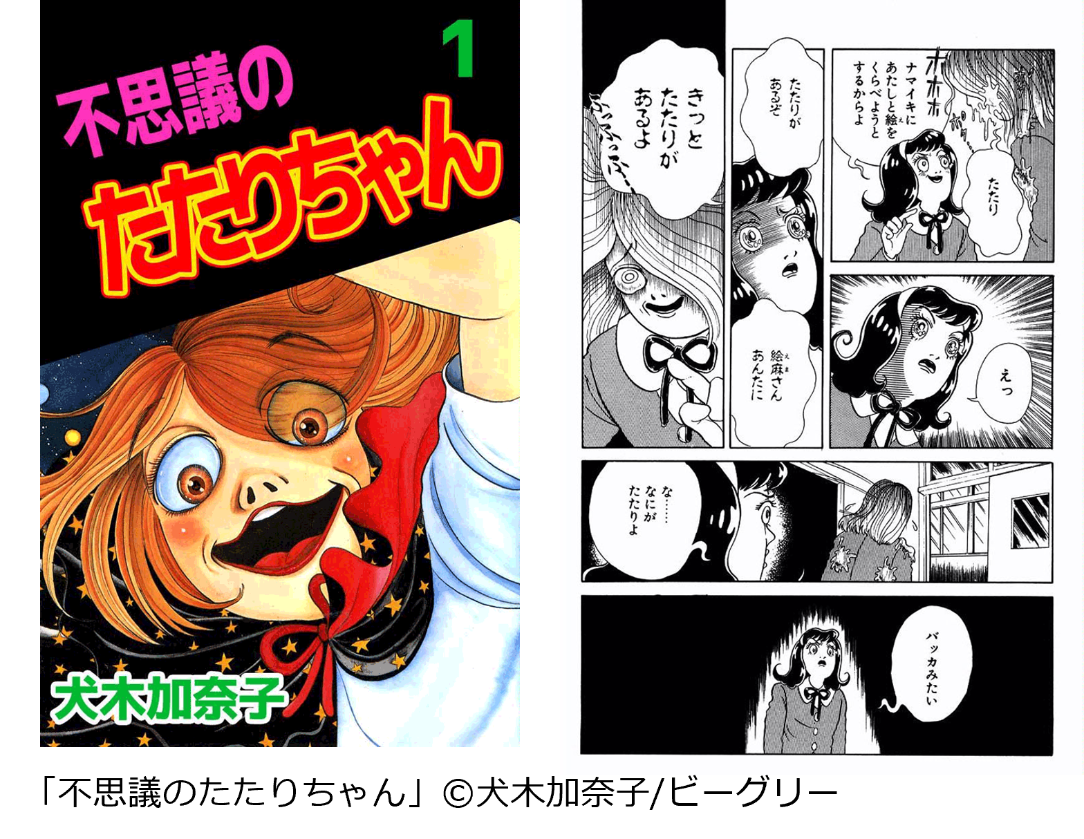『不思議のたたりちゃん」