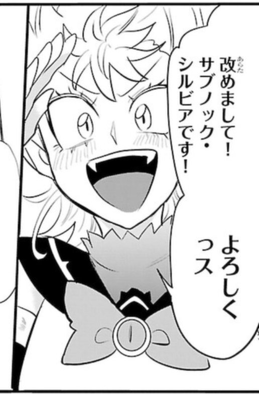 サブノック・シルビア