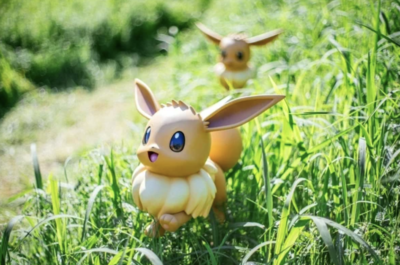 「ポケパーク カントー」ポケモンフォレスト