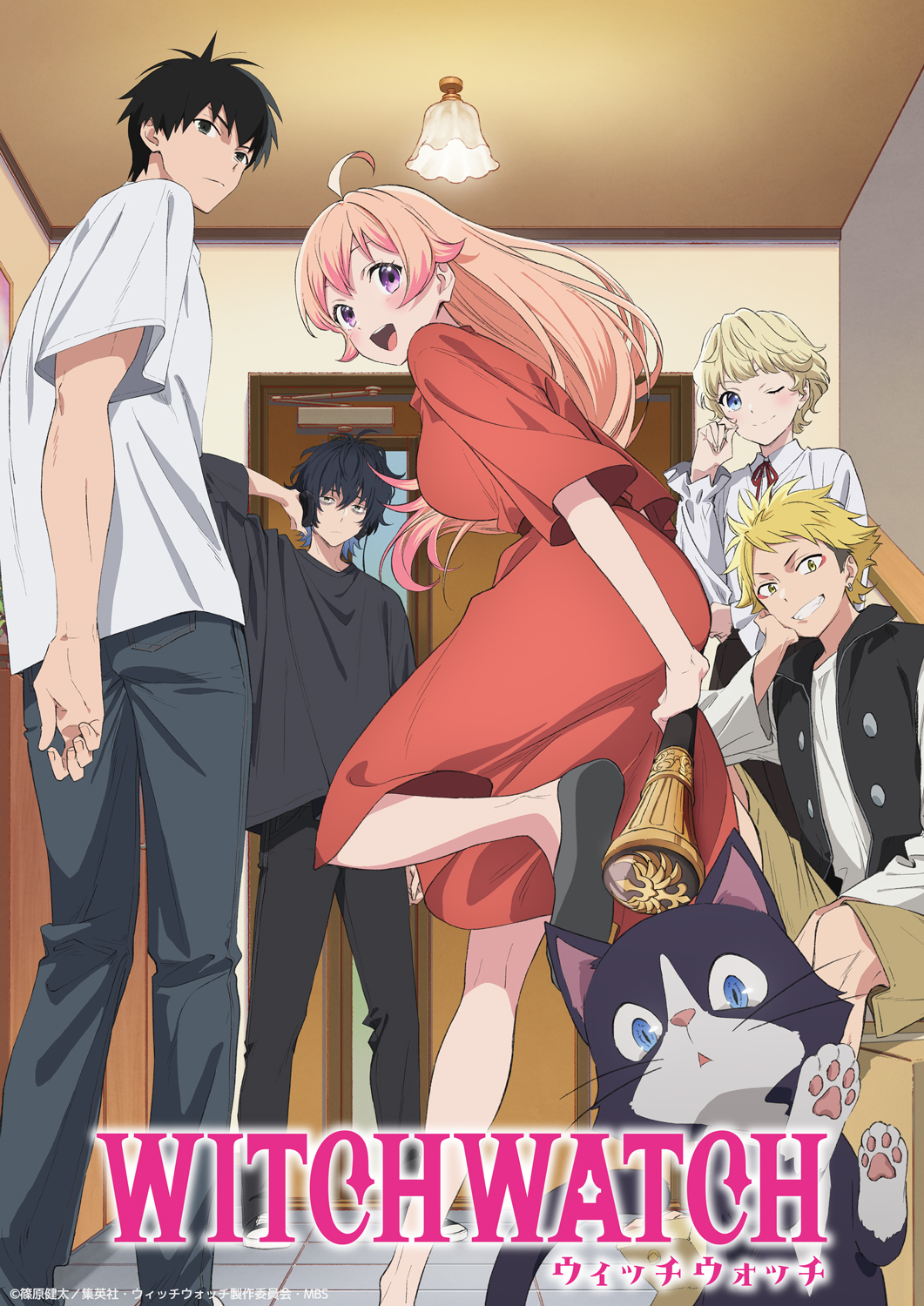 【2025年春アニメ】満足度が高かった作品ランキング第3位:ウィッチウォッチ