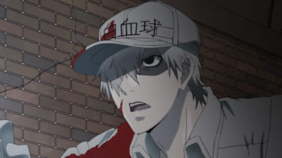 1146番