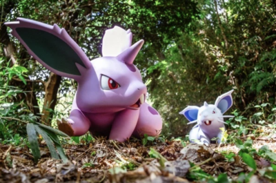 「ポケパーク カントー」ポケモンフォレスト