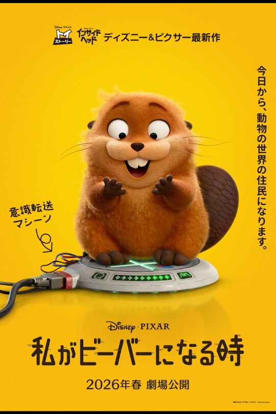 私がビーバーになる時