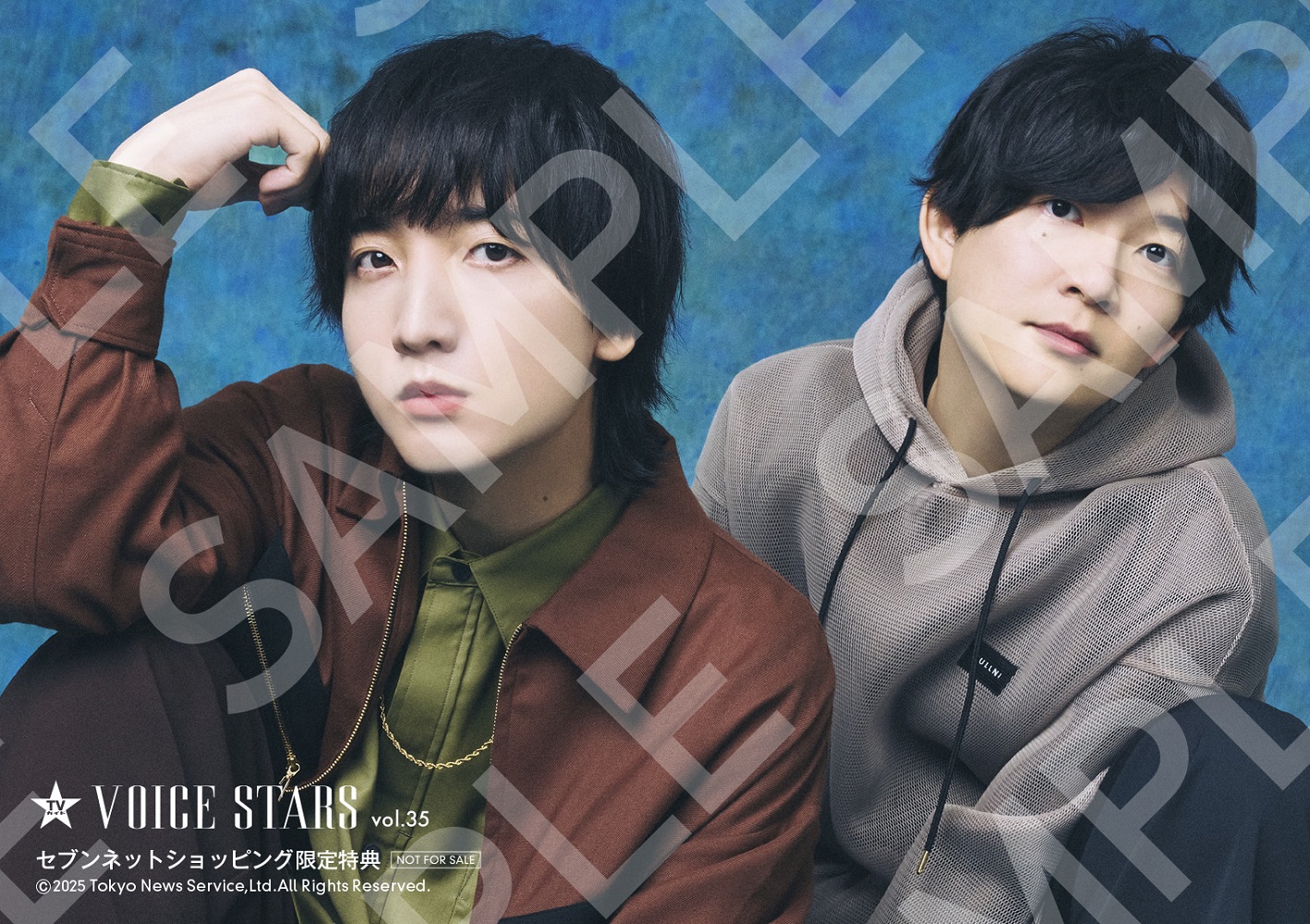 『TVガイドVOICE STARS vol.35』セブンネットショッピング特典