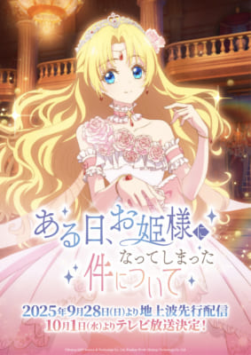 TVアニメ「ある日、お姫様になってしまった件について」キービジュアル