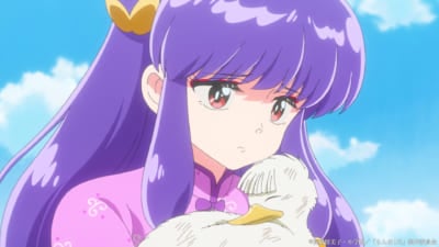TVアニメ『らんま1/2』第2期 PVカット