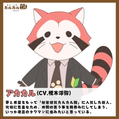 第10位：『あらいぐま カルカル団』アカカル