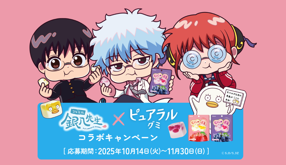 「3年Z組銀八先生×ピュアラルグミ」10月14日よりコラボキャンペーン開催！レシート応募でエリザベスのスクッションが当たる
