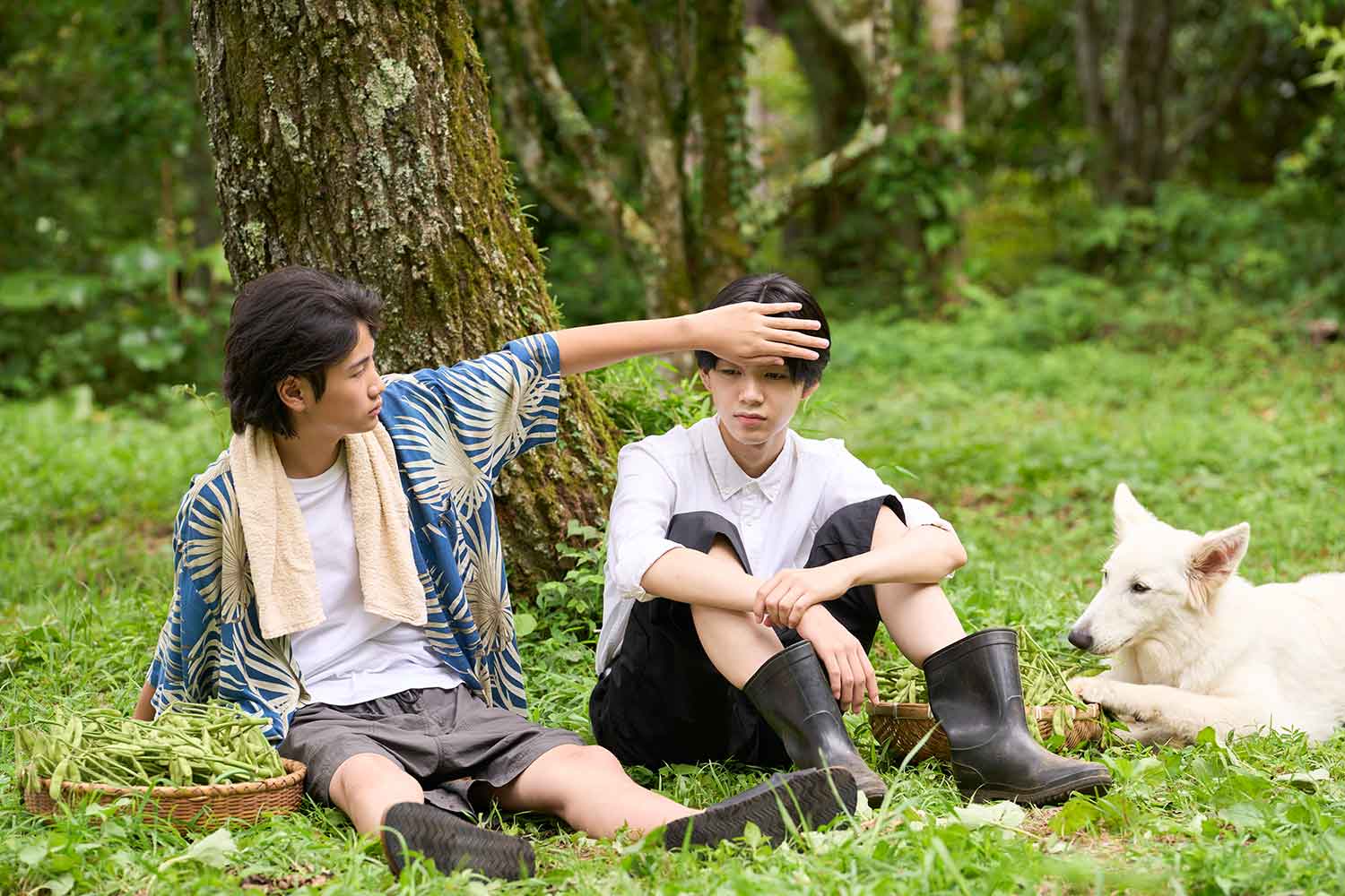 基(14歳):白鳥晴都さん/有意(14歳):市村優汰さん