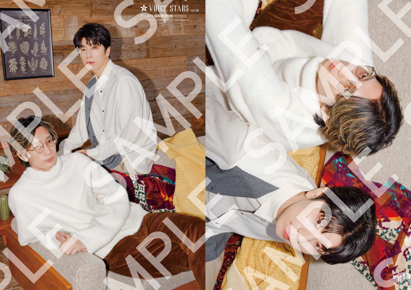 『TVガイドVOICE STARS vol.36』江口拓也×西山宏太朗 クリアファイル1枚