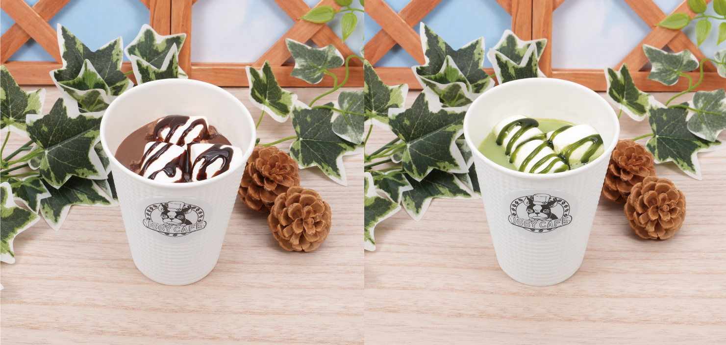 「THE★JOJO WORLD」ココア・抹茶ラテ