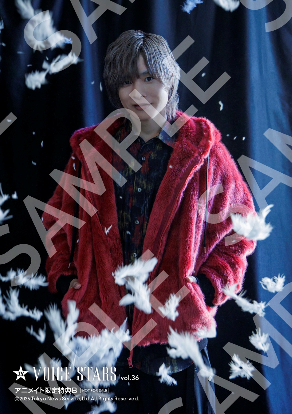 『TVガイドVOICE STARS vol.36』岡本信彦　生写真