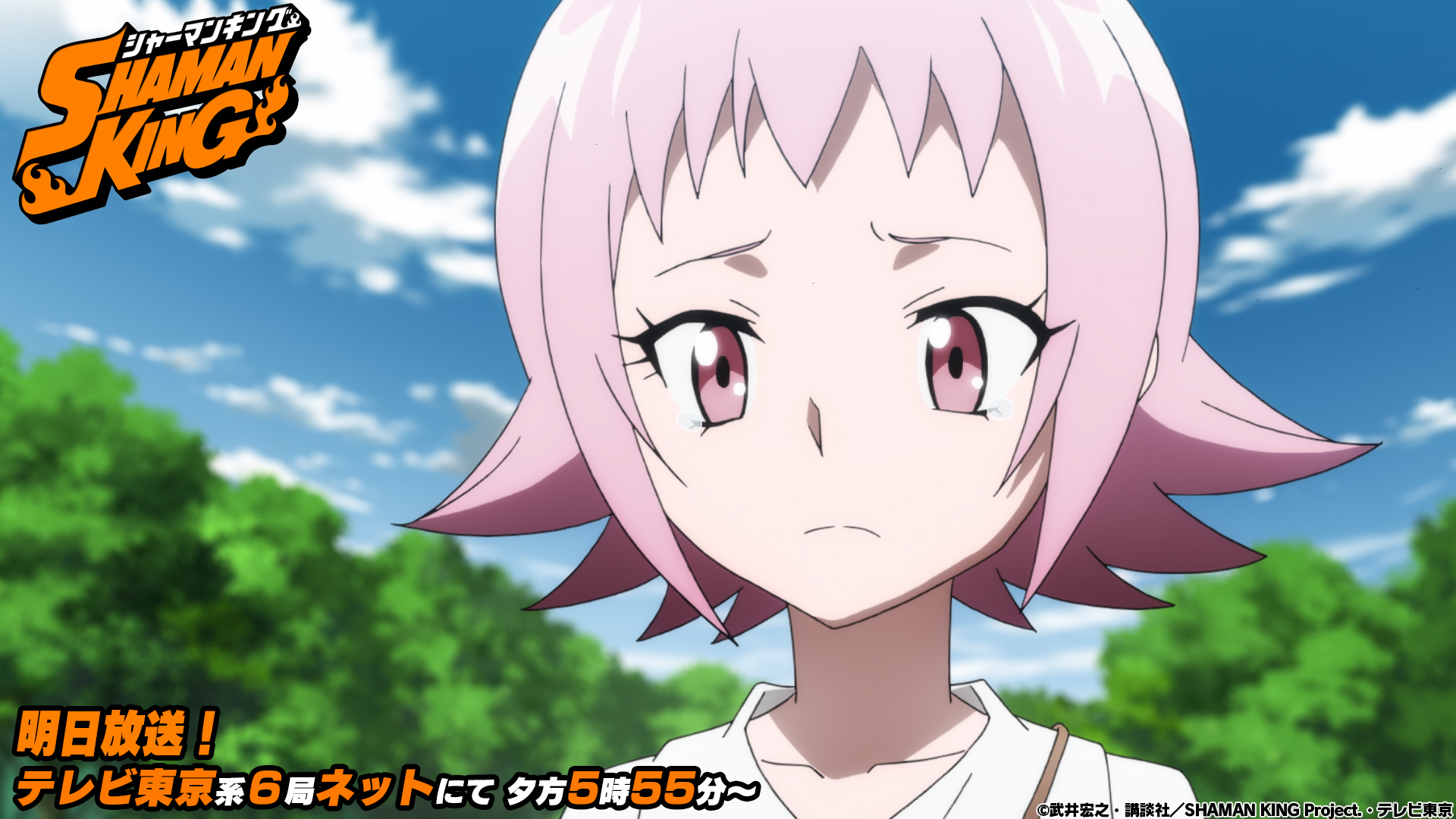 第7位：『シャーマンキング』玉村たまお、コロロ