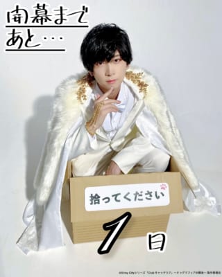 第5位：Stray Cityシリーズ『Club キャッテリア』支配人ラグドール