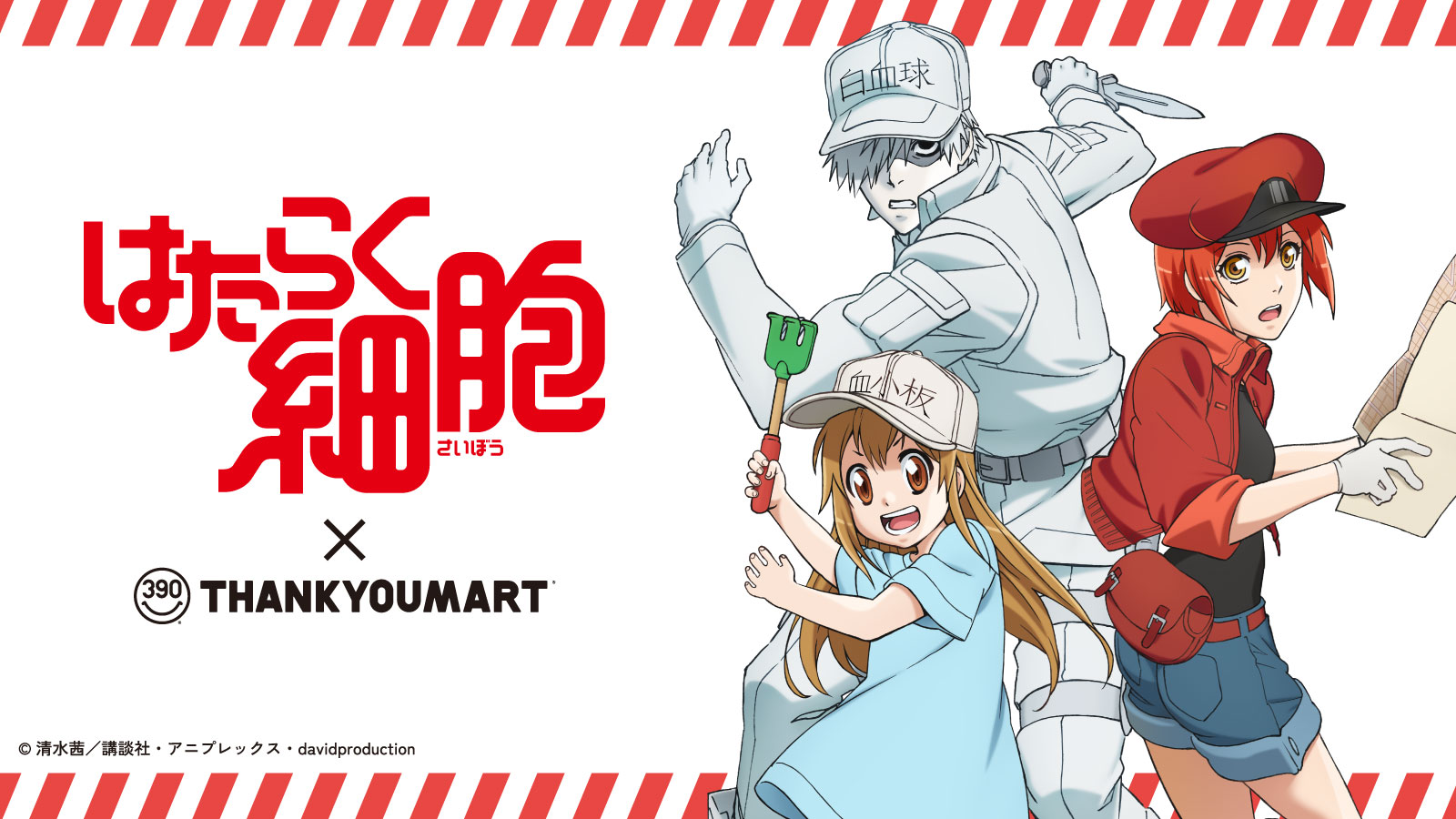 「はたらく細胞×サンキューマート」初コラボが実現！全品390円で赤血球＆白血球たちのグッズが2月下旬発売