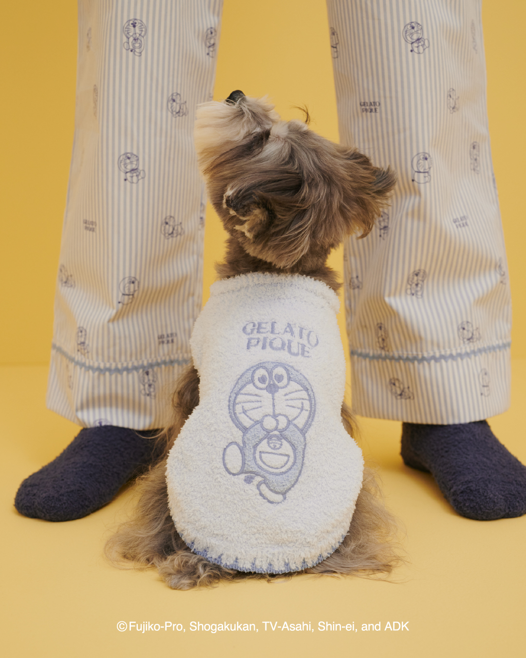 「ドラえもん×ジェラート ピケ」ニットシリーズ