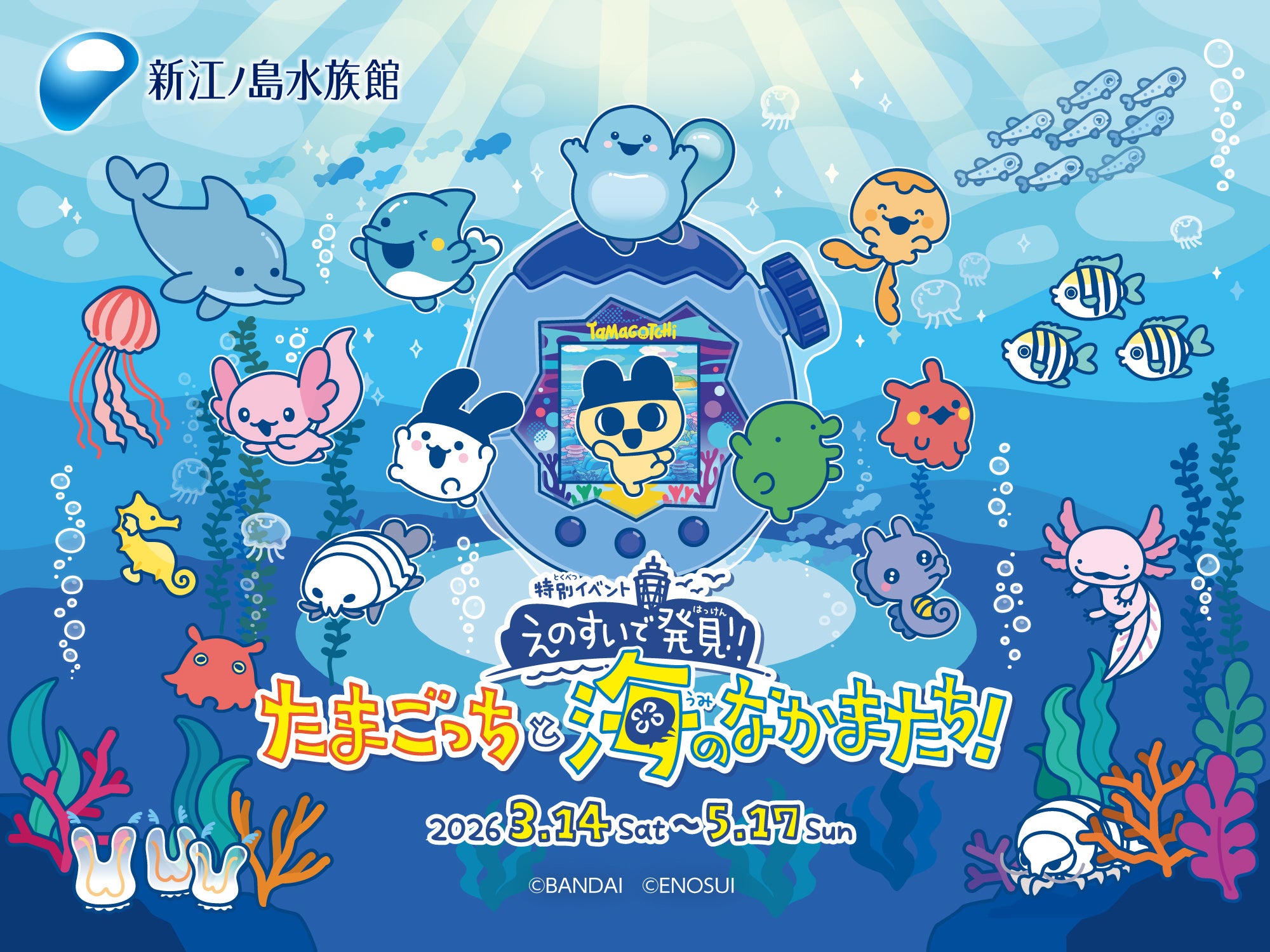 「たまごっち×新江ノ島水族館」コラボイベントが3月14日から開催！スタンプラリーやコラボドリンク、限定グッズが盛りだくさん