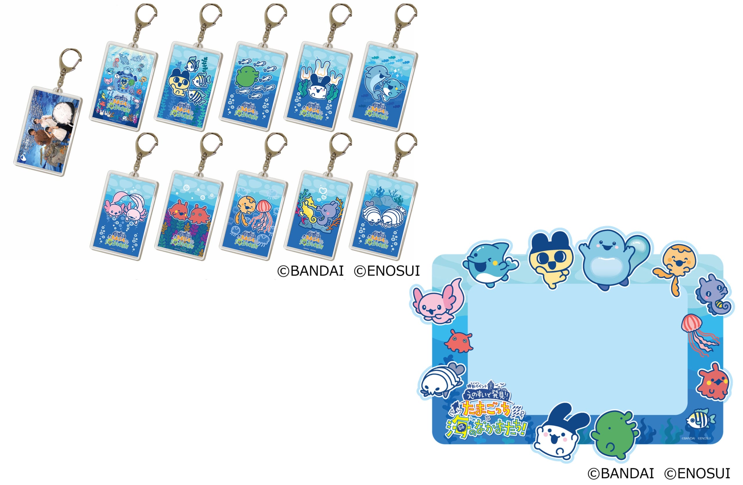 えのすいで発見 たまごっちと海のなかまたち フォトコーナー