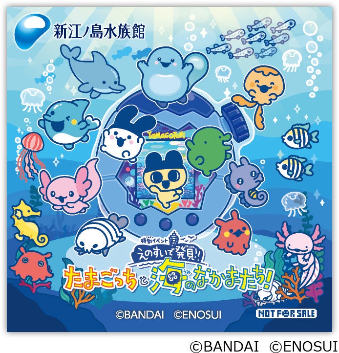 えのすいで発見 たまごっちと海のなかまたち 特典ステッカー