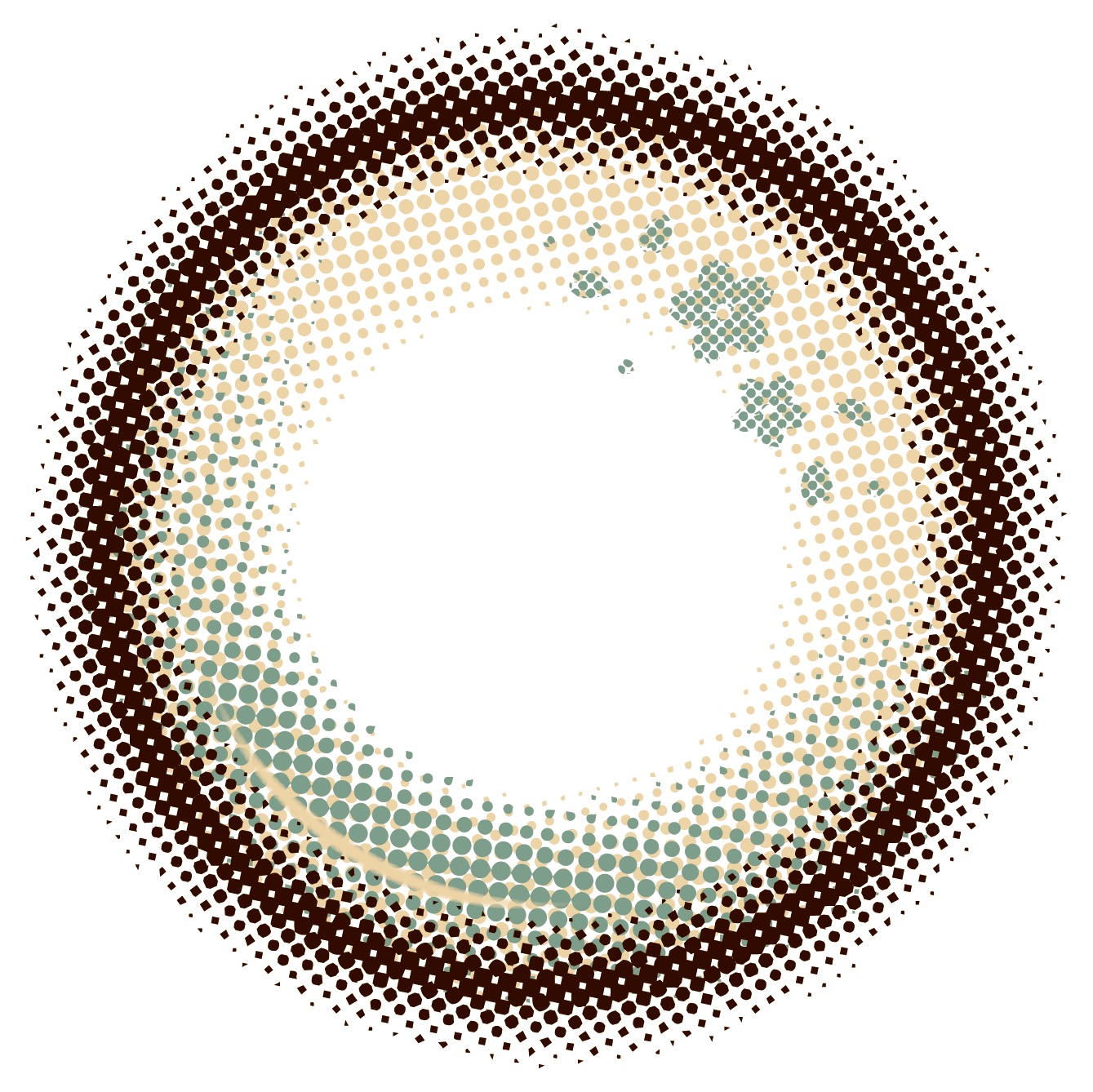 山姥切国広モデル レンズデザイン