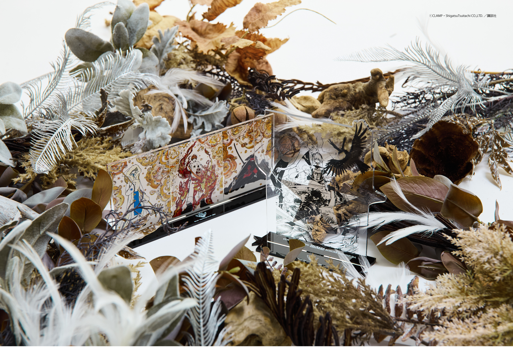 「CLAMP × CONVERSE TOKYO」GRAPHIC ACRYLIC STAND『ツバサ-RESERVoir CHRoNiCLE-』