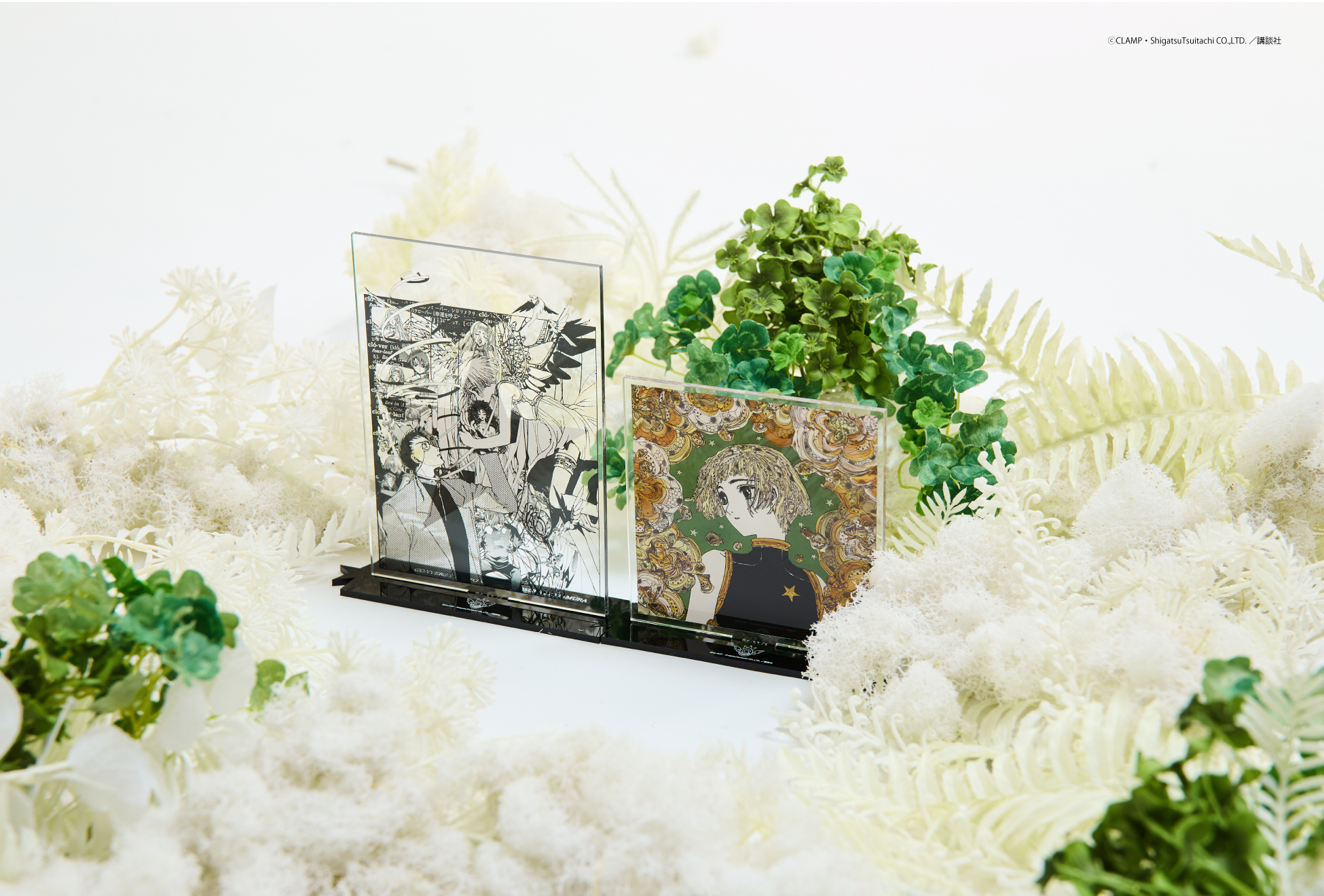 「CLAMP × CONVERSE TOKYO」GRAPHIC ACRYLIC STAND『CLOVER』